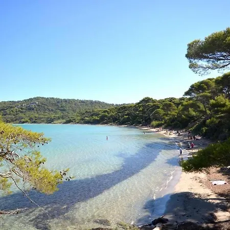 Studio Hyeres Port Avec Piscine *