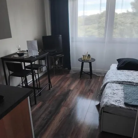 Apartment Studio Hyeres Port Avec Piscine