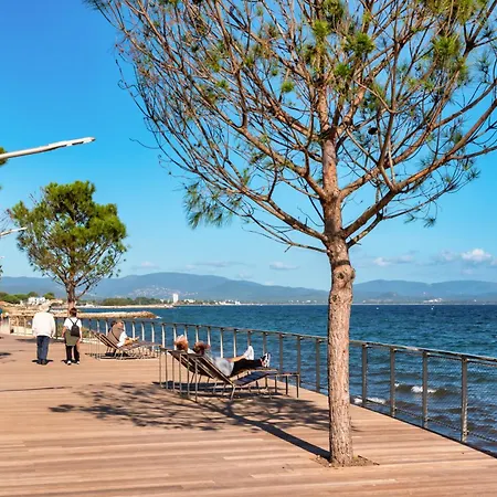 Studio Hyeres Port Avec Piscine Hyeres