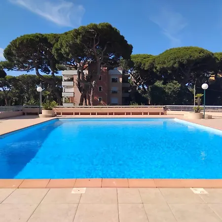 Studio Hyeres Port Avec Piscine * Hyeres