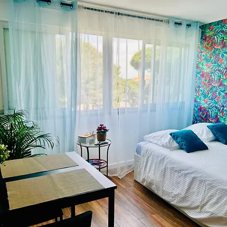 Studio Hyeres Port Avec Piscine Apartment Hyeres