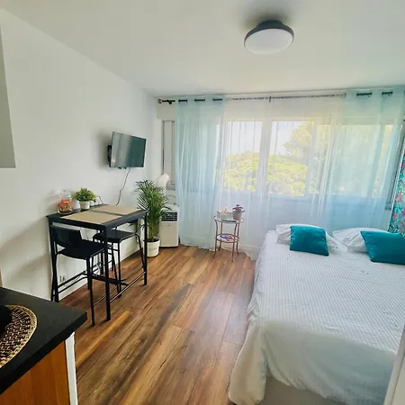 Studio Hyeres Port Avec Piscine Apartment