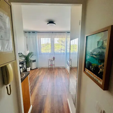 Studio Hyeres Port Avec Piscine Apartment Hyeres