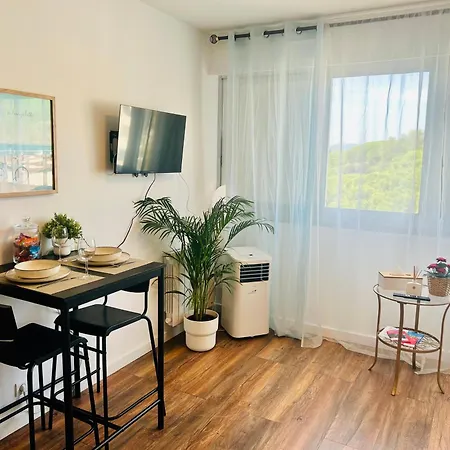 Studio Hyeres Port Avec Piscine Hyeres